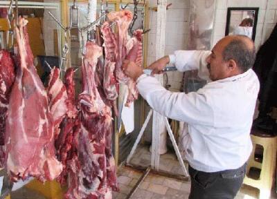 برنامه های تنظیم بازار گوشت و مرغ؛ در ماه رمضان